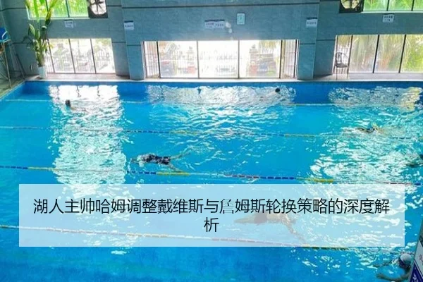 湖人主帅哈姆调整戴维斯与詹姆斯轮换策略的深度解析